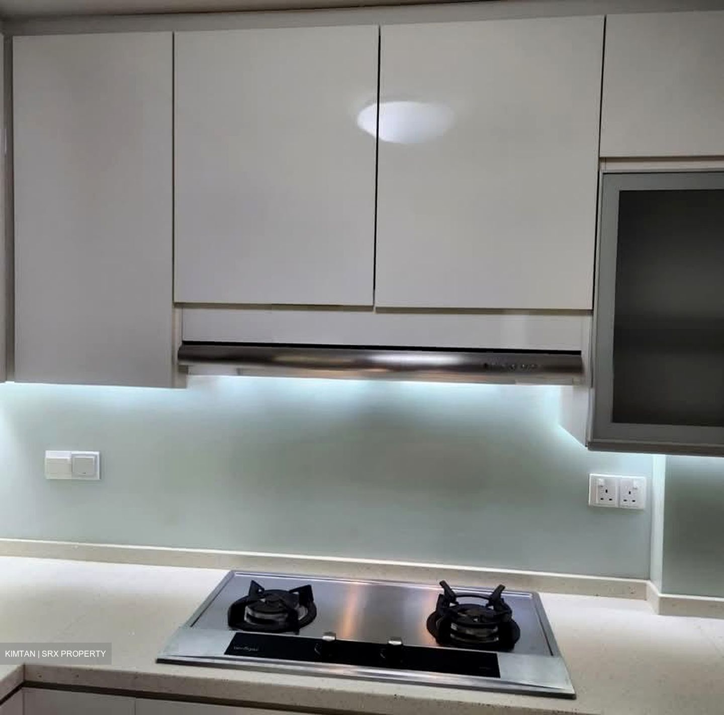 The Springbloom (D19), Condominium #574587011
